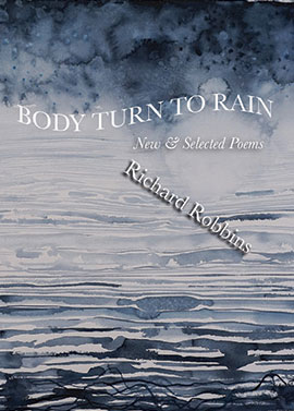 Body Turn to Rain book cover