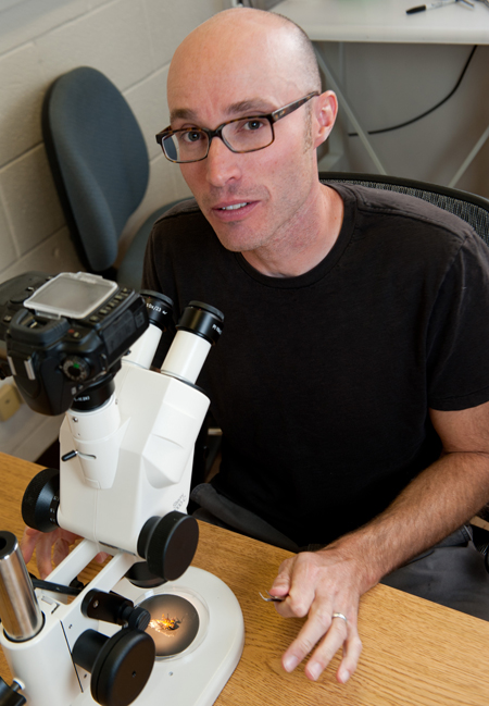 John McCutcheon, associate professor in UM's Division of Biological Sciences. 