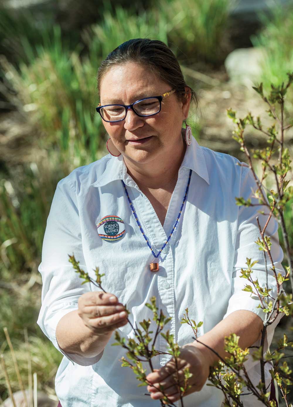Ethnobotanist Rosalyn LaPier examines the spring buds on a chokecherry bush in the Blackfeet tribal section of the Native American gardens that surround UM’s Payne Family Native American Center.