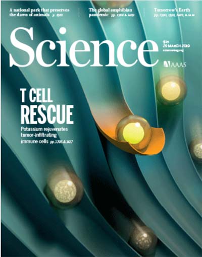 Cover of the journal Science