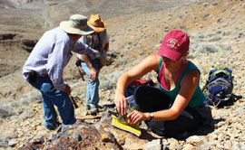 A University of Montana field team measures rocks at New York Canyon, Nevada.