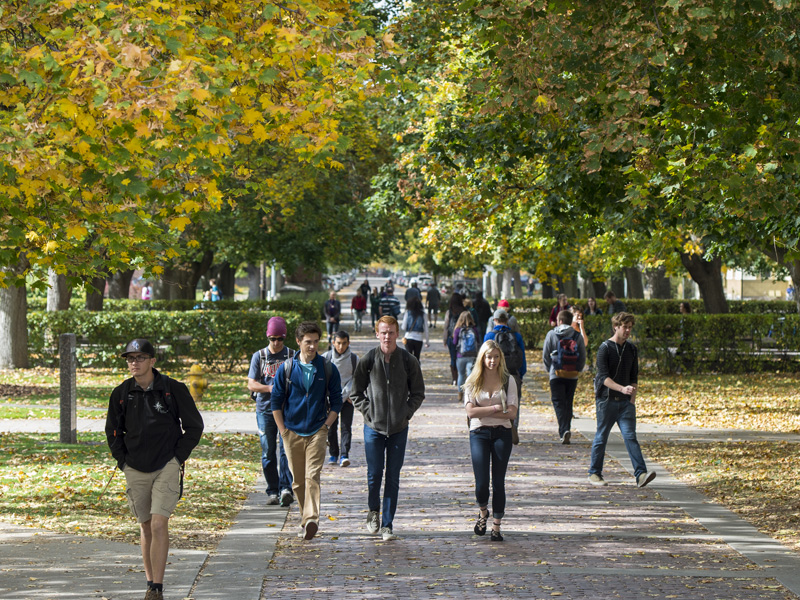 Students enjoying fall on UM campus.