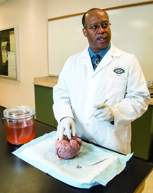 “Every square inch has a function,” UM Professor Darrell Jackson says of the human brain.  “I still don’t know how it works to this day. I know a lot more. But I still don’t know.” Jackson directs UM’s new Brain Initiative.