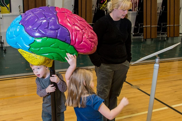 Two visitors take a look at giant brain in Lincoln, Mont.