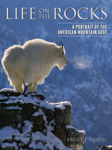 Book Cover: Life on The Rocks: A Portrait of the American Mountain Goat